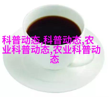 西湖龙渔网